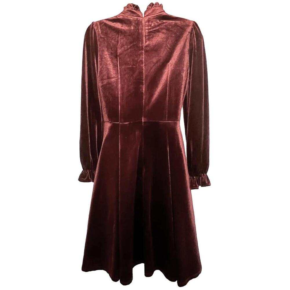 Gorgeous, Feiinvan Red Velvet Cottage Core, Whimsigoth Dress -Size Small - Picture 3 of 6